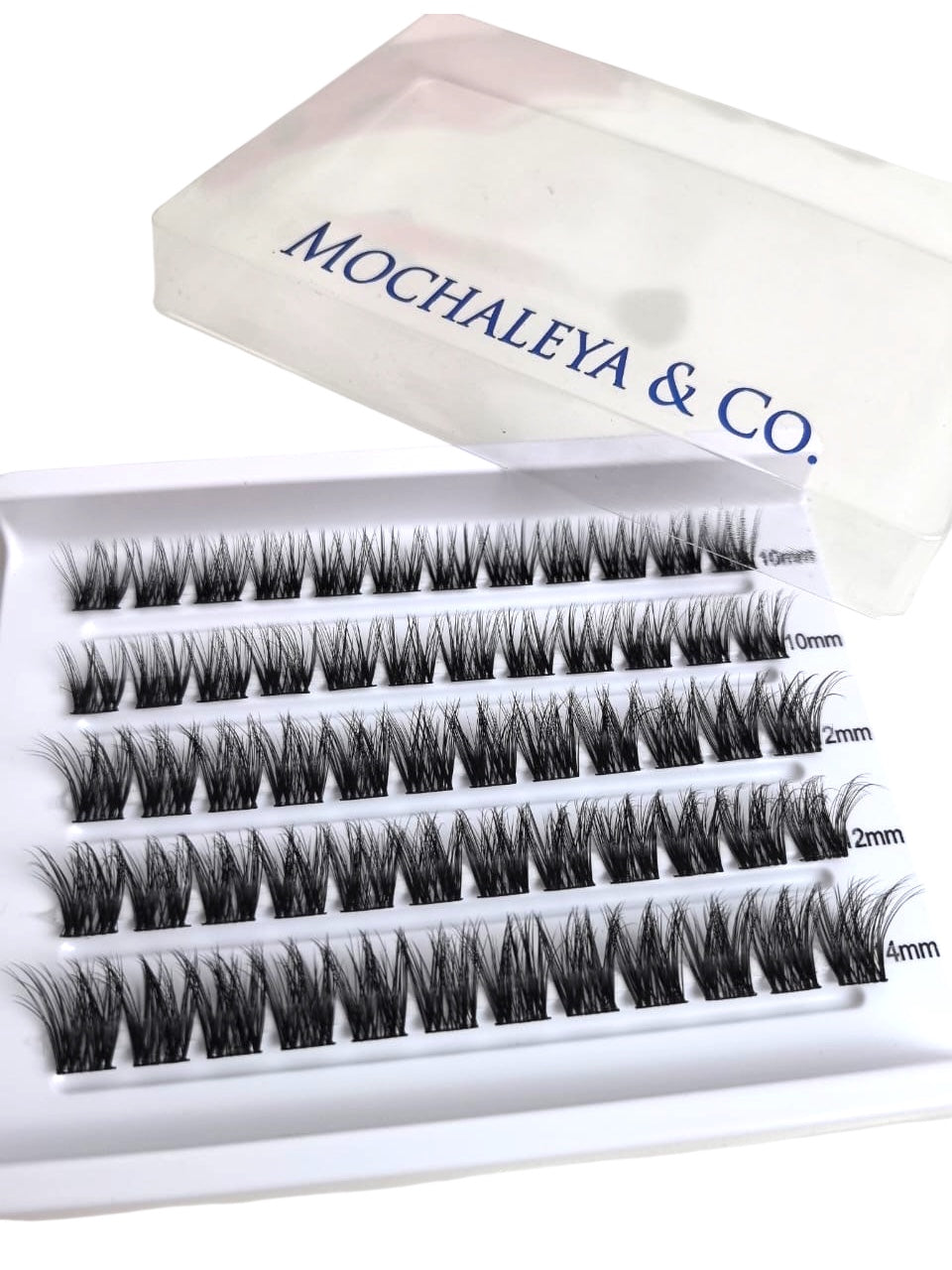 Lash Clusters